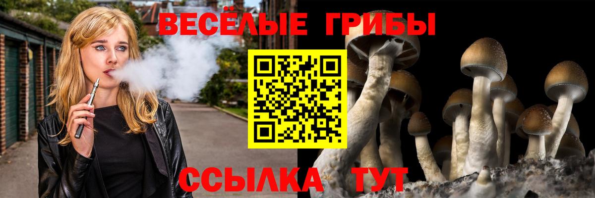 Псилоцибиновые грибы мицелий  Вход с VPN  даркнет сайт  Калининград 